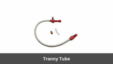 Tranny Tube