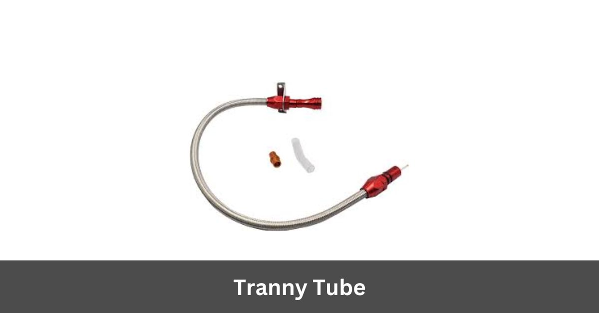 Tranny Tube