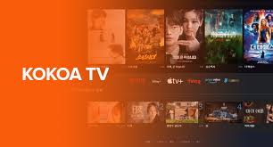 Platform Accessibility Of Kokoa TV 